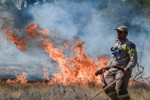 Μεγάλες διαστάσεις η φωτιά στη Κερατέα: Ήχησε το 112 σε όλη την Αττική - Εκκενώνονται 4 οικισμοί