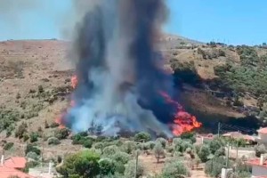 Έκτακτο: Νέα ισχυρή πυρκαγιά στη Κερατέα, μέσα σε σπίτια! (video)