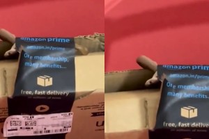Να μη σου τύχει: Γυναίκα βρήκε φίδι σε πακέτο της Amazon - Μαζί με το Xbox παρέλαβε και μια κόμπρα
