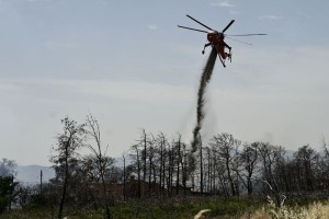 Φωτιά στο Κιλκίς: Ενεργοποιήθηκε η πυροσβεστική στην περιοχή Χέρσο