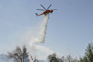 Φωτιά στη Ζάκυνθο: Επιχειρούν στο σημείο δυνάμεις της Πυροσβεστικής