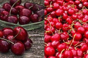 Το απόλυτο καλοκαιρινό φρούτο: Πώς να διαλέξετε τα πιο ζουμερά και νόστιμα κεράσια
