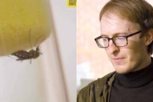 Κι όμως υπάρχει άνθρωπος που αφήνει δεκάδες κουνούπια να τον τσιμπήσουν: Ο λόγος που το κάνει θα σας σοκάρει (video)
