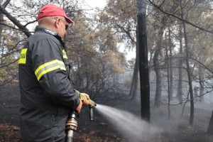 Συναγερμός στην Πυροσβεστική: Φωτιά σε Έβρο και Ρόδο