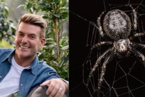 «Στοπ» στις αράχνες: Ο Σπύρος Σούλης προτείνει 4+1 φυσικούς τρόπους για να μείνουν μακριά από το σπίτι σας