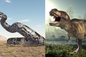 Η φύση δεν παύει να μας εκπλήσσει: Ανακαλύφθηκε αρχαίο φίδι μεγαλύτερο από Τυρρανόσαυρο