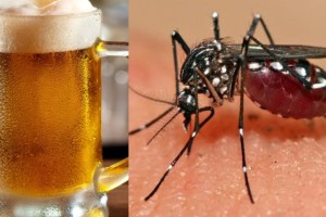 Κουνούπια τέλος!: Το φυσικό απωθητικό sprey για να τα εξαφανίσεις για πάντα