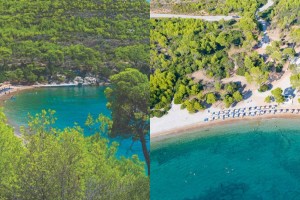 Δύο ώρες από την Αθήνα και πράσινη όαση: Η παραλία με τα πεύκα που φτάνουν μέχρι τη θάλασσα και το γραφικό εκκλησάκι