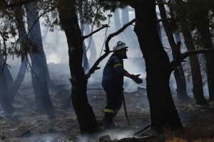 Φωτιά στην Κέρκυρα: Στην περιοχή Γλυφά, στο Μπαρμπάτι - Σπεύδει η πυροσβεστική