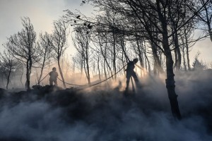 Πύρινα μέτωπα σε Κω, Χίο και Κρήτη: Ολονύχτια μάχη της πυροσβεστικής με τις φλόγες