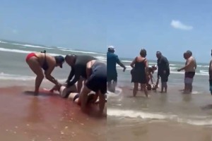 Φόβος και τρόμος σε παραλία: Καρχαρίας επιτέθηκε και τραυμάτισε τέσσερα άτομα (video)