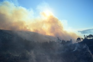 Συναγερμός στην Πυροσβεστική: Φωτιά στη Χίο – Μήνυμα από το 112
