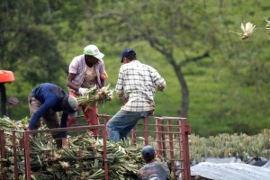 Επιστροφή ΕΦΚ, φθηνότερο ρεύμα και στήριξη κτηνοτροφίας: Αυτά είναι τα 6 νέα μέτρα της κυβέρνησης για τους αγρότες