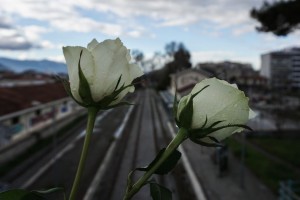 Ανατριχιάζουν οι μαρτυρίες από την τραγωδία στα Τέμπη: «Διαμελισμένα μέλη σωμάτων παιδιών σε ψυγείο... εφιάλτης»