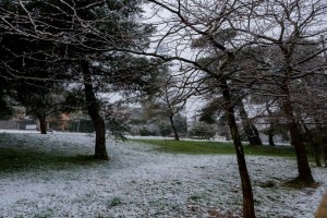 Η κακοκαιρία Coral βάζει στον... πάγο την χώρα: Ξεκίνησε η χιονόπτωση στην Πεντέλη