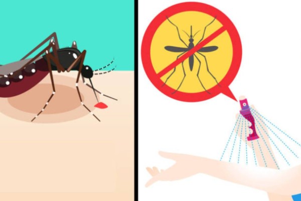 Τέλος τα κουνούπια: Συνταγή για να ησυχάσετε μια για πάντα
