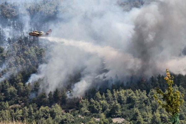 Φωτιά στα Βίλια: Κάηκαν σπίτια στον οικισμό Προφήτης Ηλίας - Μάχη με τα μποφόρ και τις αναζωπυρώσεις