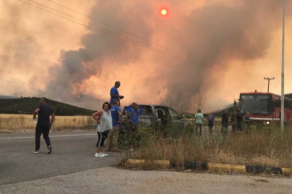 Φωτιά στα Βίλια: Στάχτη σχεδόν 100.000 στρέμματα - Συγκινούν Πολωνοί και Ρουμάνοι