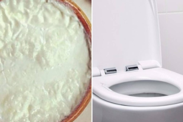 Απίστευτο: Δεν φαντάζεστε τι θα συμβεί αν ρίξετε γιαούρτι στη λεκάνη της τουαλέτας;