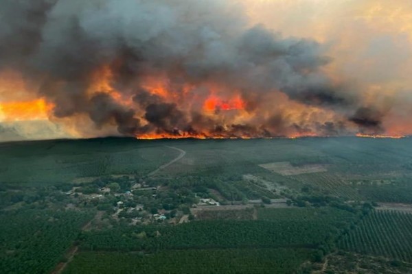 Bataille féroce des pompiers avec un incendie « monstre » en France – Des images tristes à couper le souffle (vidéo) – Monde