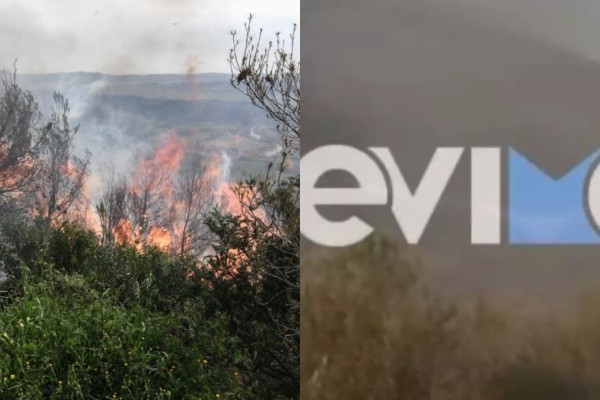 Δύο πύρινα μέτωπα σε Εύβοια και Τύρναβο - Μάχη με τις φλόγες για να μην καούν δασικές εκτάσεις