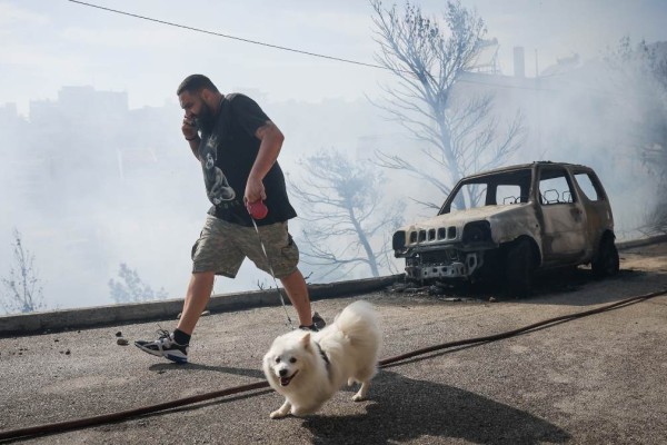 «Νιώθουν την αγωνία, το άγχος, την απόγνωση… καίγονται ζωντανά»: Θλίψη για το καταφύγιο ζώων κάηκε στο Λαγονήσι