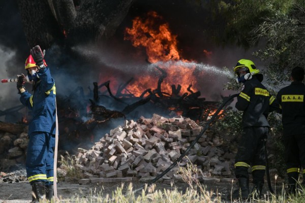 «Κόκκινος» συναγερμός στην Εύβοια: Φωτιά σε δασική έκταση στην περιοχή της Καρύστου