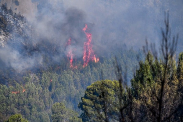 Συναγερμός στην Πυροσβεστική: Φωτιά στο Ρέθυμνο - Ήχησε το 112