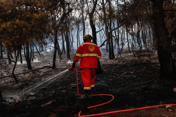 Συναγερμός στην Πυροσβεστική: Φωτιά στον Όλυμπο – Καίει σε δύσβατη περιοχή