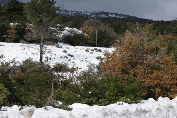 Κλειστή η λεωφόρος Πάρνηθας από το ύψος του τελεφερίκ λόγω χιονιού - Κυκλοφοριακές ρυθμίσεις στην περιοχή