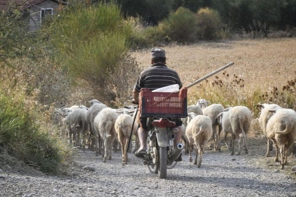 Ένας Πόντιος συναντά ένα βοσκό και του λέει...: Το ανέκδοτο της ημέρας (18/02)