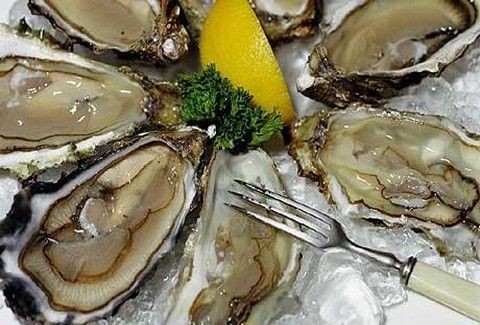 Δουράμπεης Oyster