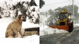 Βγήκαν τα Μερομήνια για τον χειμώνα και τρομάζουν: «Μετά την 28η χιόνια και στην Αθήνα! Για τρεις μήνες...»