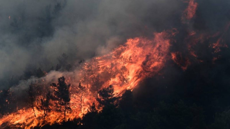 Πυρκαγιές στην Ελλάδα: Συνεχίζονται οι μάχες σε όλα τα μέτωπα - Μεγάλος κίνδυνος σήμερα (15/8) από τους ανέμους