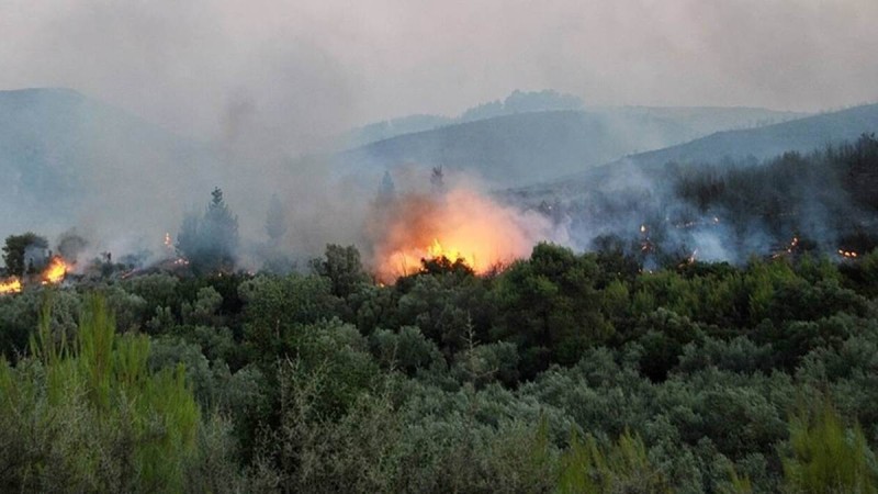 Ζάκυνθος: Προφυλακιστέος 55χρονος κατηγορούμενος για εμπρησμό - Ελλάδα -  Athens magazine