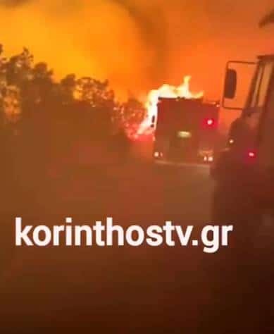  Φωτιά στη Λίμνη Δασίου - Άμεση κινητοποίηση της Πυροσβεστικής