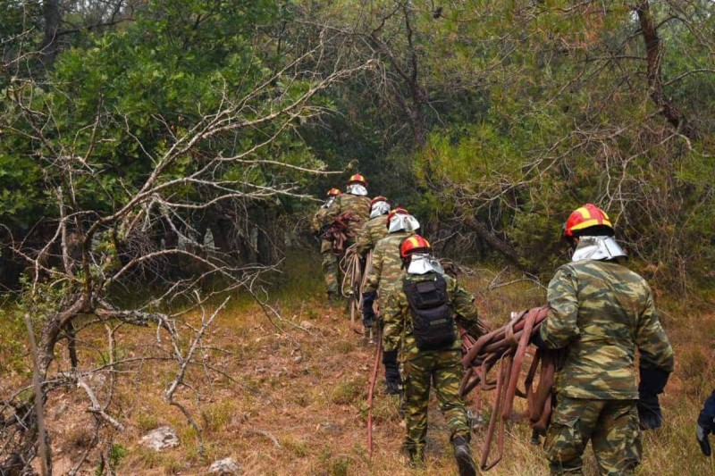 Φωτιά στον Έβρο: Μάχη για να σωθεί το δάσος της Δαδιάς – Πολλά τα πύρινα μέτωπα