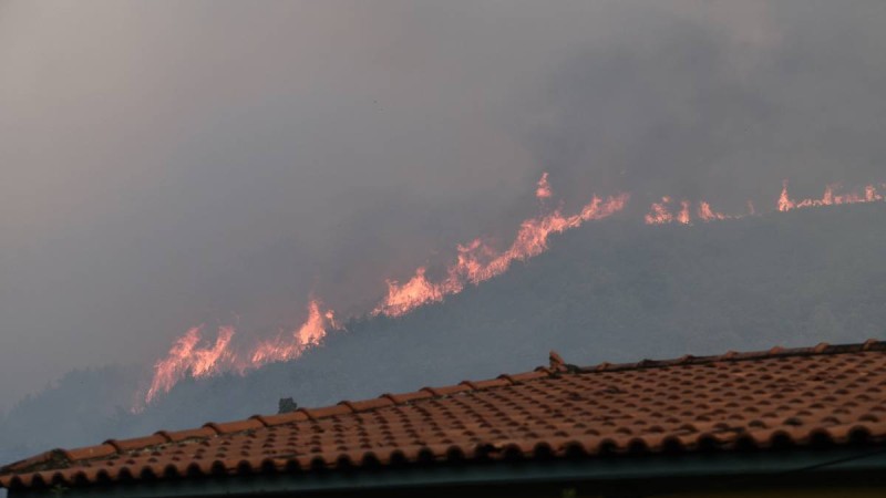 Φωτιά στην Φωκίδα: Δίπλα στην Ιτέα φτάνουν οι φλόγες - «Αυτό που συμβαίνει είναι συγκλονιστικό!»