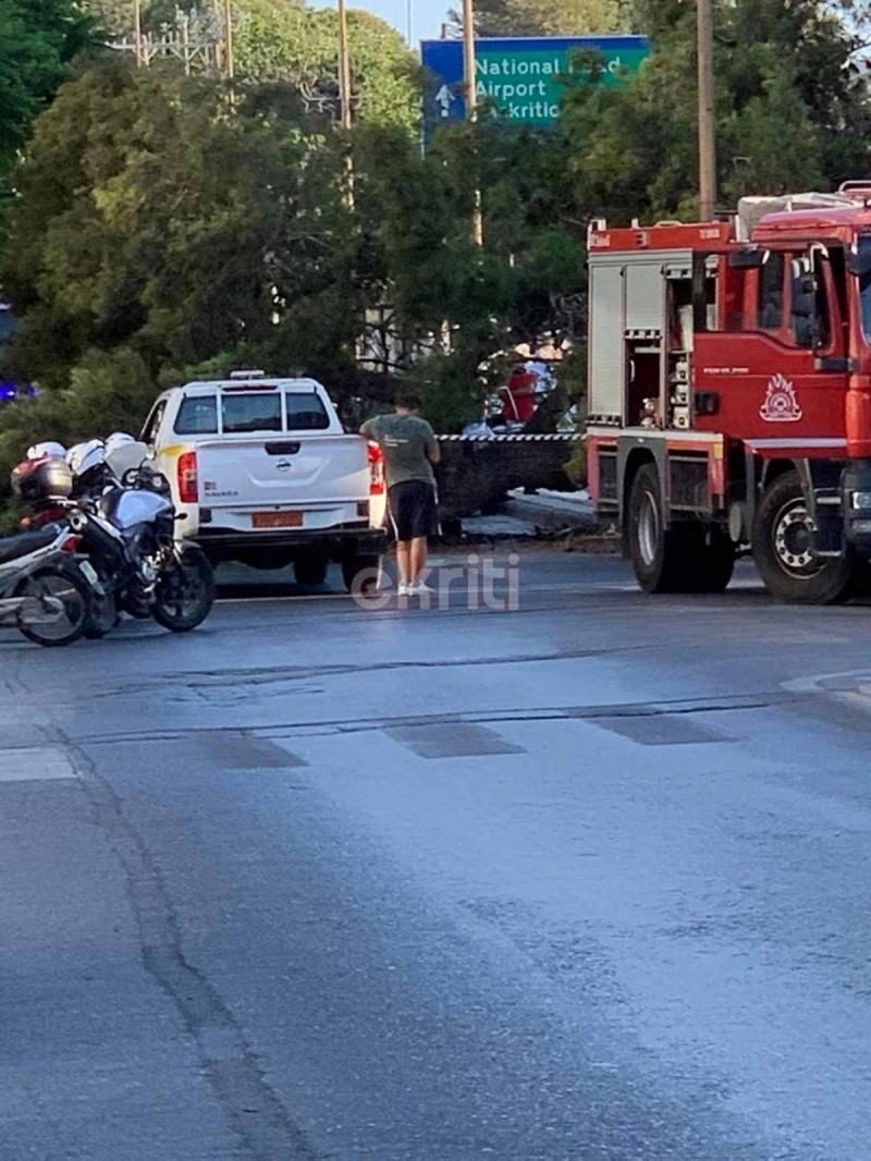 Τραγωδία στο Ηράκλειο: Τον πλάκωσε δέντρο και τον σκότωσε (φωτο)