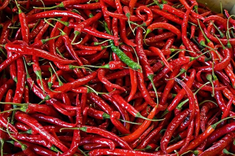 Καυτερές πιπεριές κόκκινες - Τσίλι 