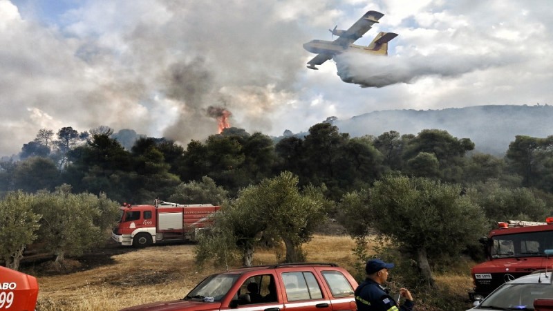 Μεγάλη φωτιά στα Μέγαρα: Επιχειρούν αεροσκάφη και 35 πυροσβέστες