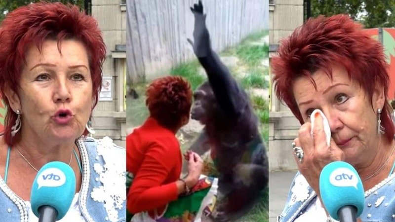 «Είμαστε ζευγάρι 4 χρόνια»: Ζωολογικός κήπος απαγόρευσε σε 38χρονη να βρίσκεται με τον χιμπατζή σύντροφό της