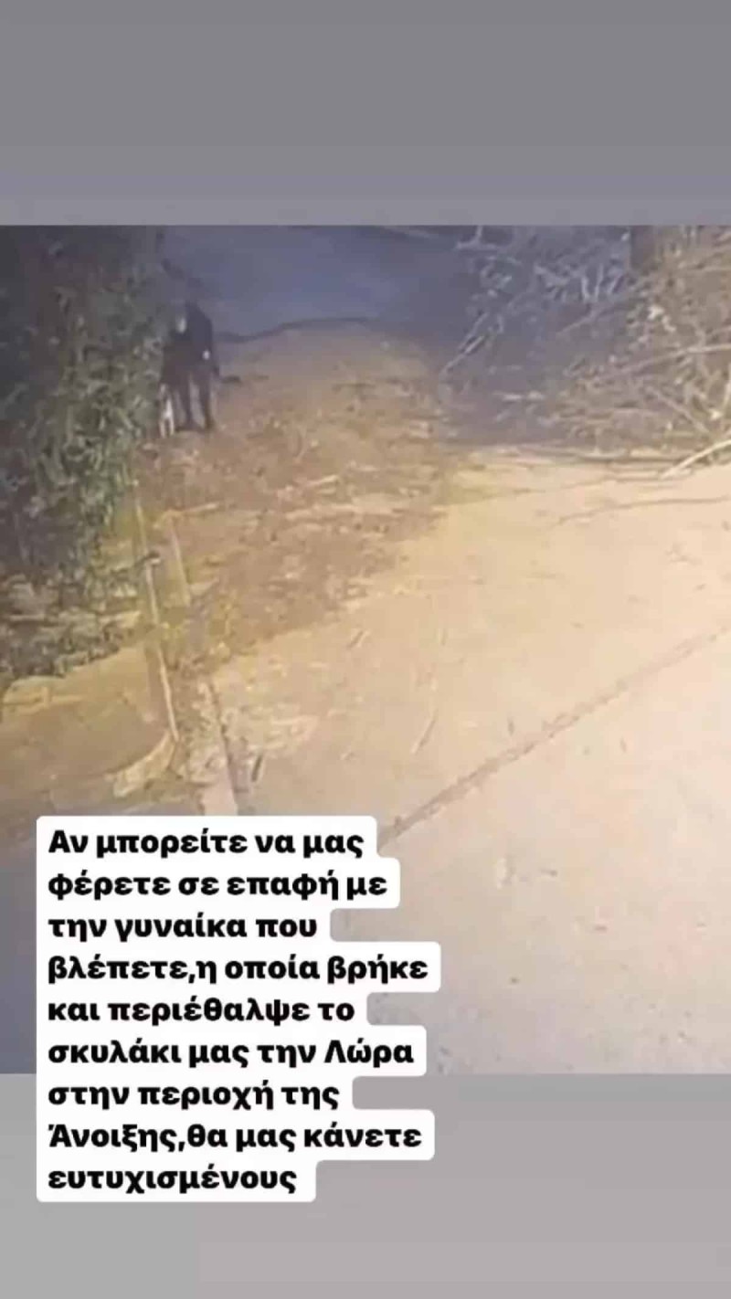 Η έκκληση από Χρήστο Φερεντίνο και Σοφία Παυλίδου για τον σκύλο τους