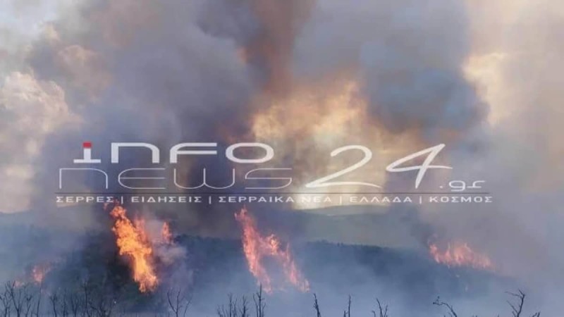 Μεγάλη φωτιά ξέσπασε στη Νιγρίτα Σερρών - Σηκώθηκαν και εναέρια (video)