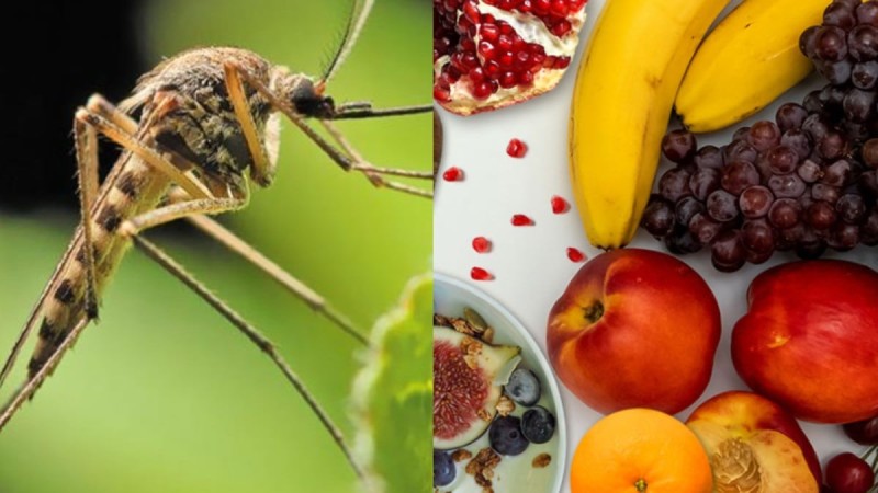 Ξεχάστε το τσίμπημα των κουνουπιών: Η λύση κρύβεται στη φλούδα αυτού του φρούτου