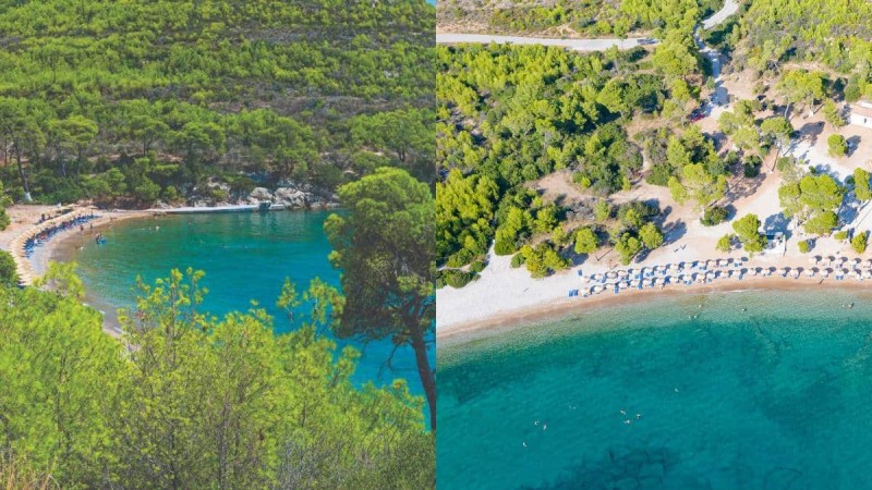 Δύο ώρες από την Αθήνα και πράσινη όαση: Η παραλία με τα πεύκα που φτάνουν μέχρι τη θάλασσα και το γραφικό εκκλησάκι
