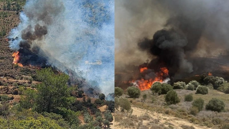 Φωτιές σε Κω και Χίο: Διάσπαρτες εστίες καίνε τα νησιά - Μήνυμα από το 112 για απομάκρυνση ντόπιων και τουριστών