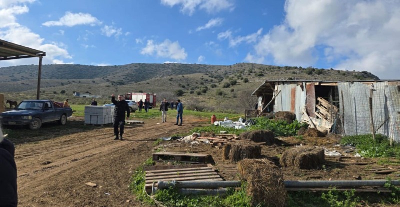 Βασίλης Καλογήρου: Γιατί δεν φαίνεται να υπάρχει εγκληματική ενέργεια; Πολλές συμπτώσεις σε μια υπόθεση θρίλερ