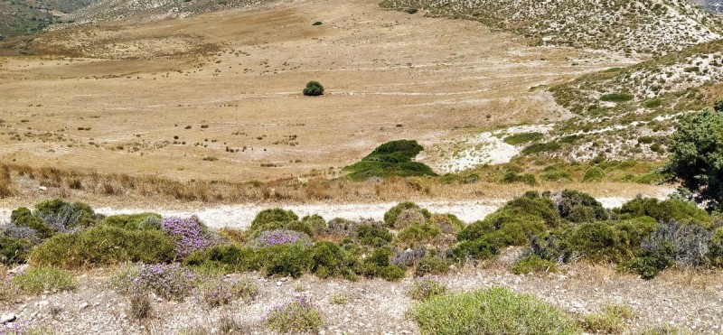 Tο ηφαίστειο της Φυριπλάκας